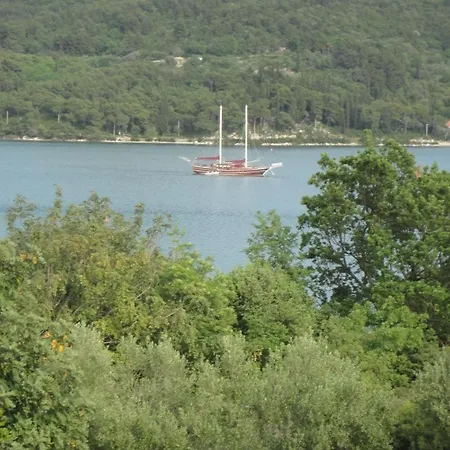 Pavkovic