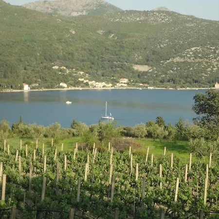Pavkovic Guest house 2*