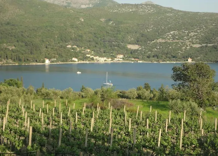 Pavkovic Maison d'hôtes 2*